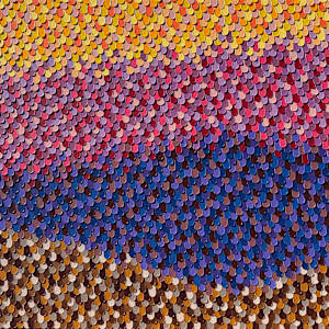 Drops. 26005 by Kerry Leigh, Image 13.