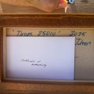 Drops. 25010 by Kerry Leigh 