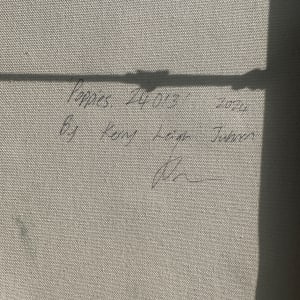 Poppies. 24013 by Kerry Leigh 