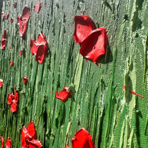 Poppies. 24015 by Kerry Leigh 
