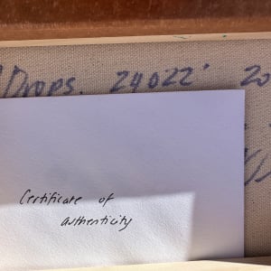 Drops. 24022 by Kerry Leigh 