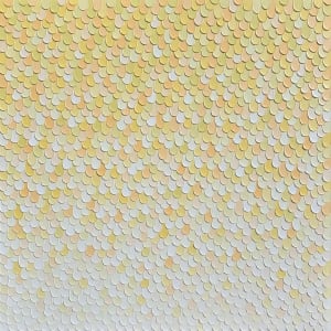 Drops. 24032 by Kerry Leigh 