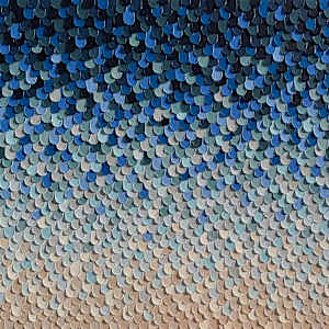 Drops. 26001 by Kerry Leigh, Image 19.