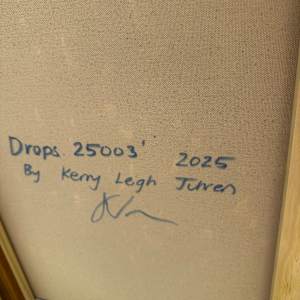 Drops. 25003 by Kerry Leigh 