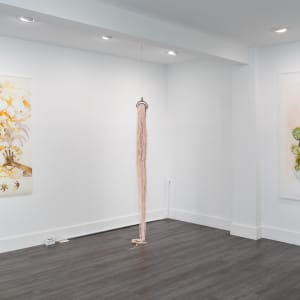 Installation images: "Tether" at Oolong Gallery, Solana Beach CA by Alexandra Carter 