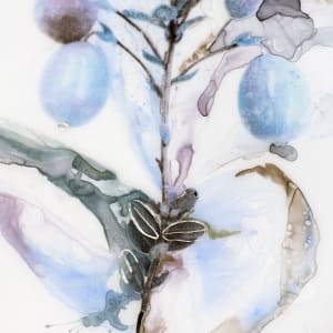 Underripe by Alexandra Carter 
