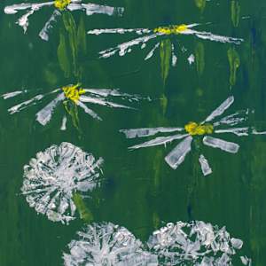 consider the dandelions by Steven Schroeder, Image 1.