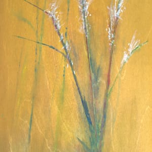 simple as grass 8 by Steven Schroeder