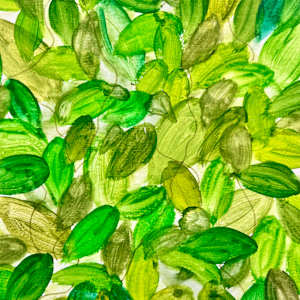 Leaf Dance by Julie Crisan, Image 1.