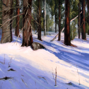 Winter Shadows by Nancy Romanovsky