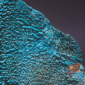 29 by Michael Warrick  Image: 28