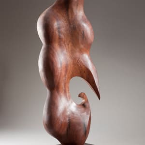 71 by Michael Warrick  Image: 71b