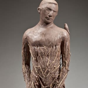 Transformation by Michael Warrick 