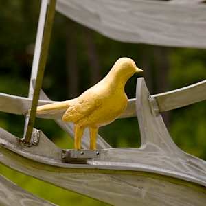 Mockingbird Tree by Michael Warrick  Image: 233a