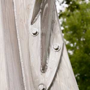 Mockingbird Tree by Michael Warrick  Image: 233f