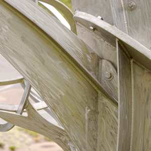 Mockingbird Tree by Michael Warrick  Image: 233g