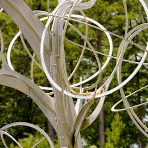 Mockingbird Tree by Michael Warrick  Image: 233i