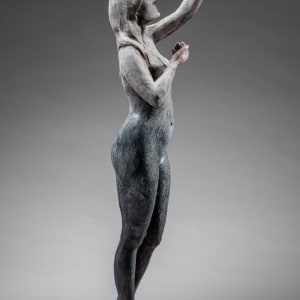 Release by Michael Warrick  Image: 251c