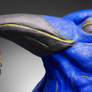 Corvus Corax by Michael Warrick  Image: 394b