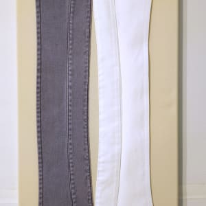 Blue Collar White Collar by Lesley Turner
