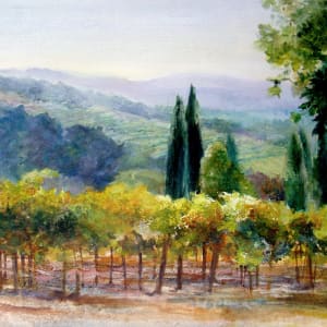 Alexander Valley Vineyard by Jann Lawrence Pollard