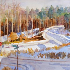 Snow on  Daufuskie, Charlotte, NC by Jann Lawrence Pollard  Image: Daufuskie Street in The Palisades, Charlotte, NC — before houses