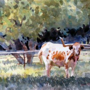 Texas Longhorn by Jann Lawrence Pollard