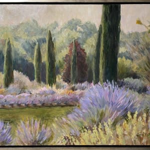 Provence in South Carolina by Jann Lawrence Pollard