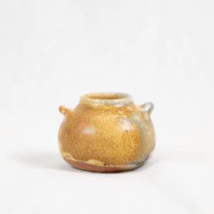 Wild Pigment Vessel 2025.05.50 by emma estelle chambers