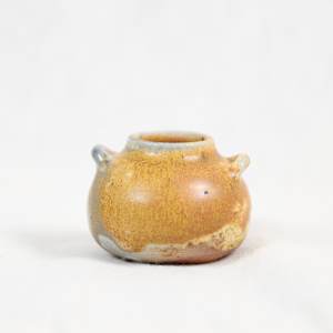 Wild Pigment Vessel 2025.05.50 by emma estelle chambers 