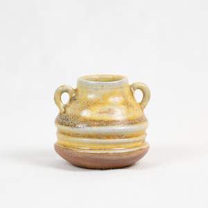 Wild Pigment Vessel 25.05.19 by emma estelle chambers 