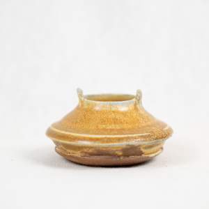 Wild Pigment Vessel 2025.05.36 by emma estelle chambers 