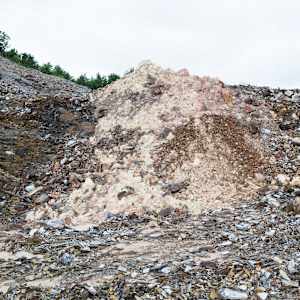 Wild Clay Pink by emma estelle chambers, Image 2.