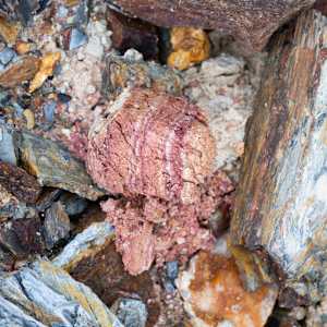 Wild Clay Purple by emma estelle chambers, Image 2.