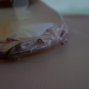 Kaolin from Knobs by Emma Estelle Chambers 