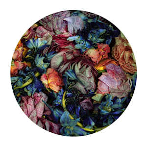 Floral Tondo #7 by Dora Somosi 