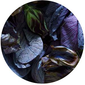 Floral Tondo #1, Edition #3/10 by Dora Somosi 