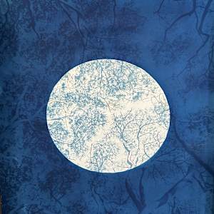 Mending Albezia by Dora Somosi