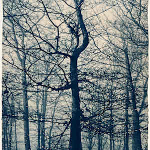 Mending Quiet by Dora Somosi