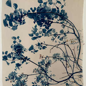 Mending Redbud by Dora Somosi