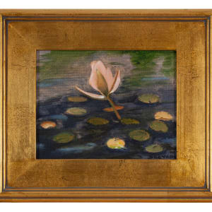 Waterlily by Phyllis Stevens