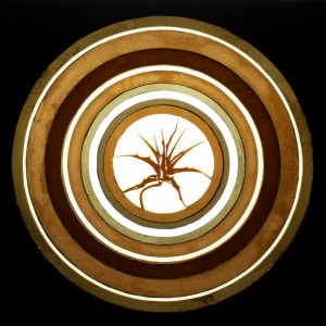 Thistle #2 by Phyllis Anna Stevens Estate