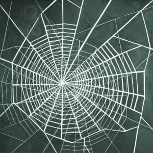 The Web by Phyllis Anna Stevens Estate