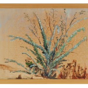 Eucalyptus by Phyllis Stevens