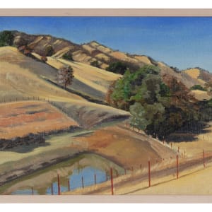 "Sky High" Duck Pond by Phyllis Stevens