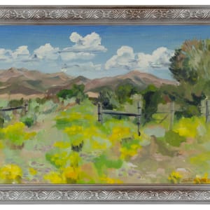 Colorado Landscape by Phyllis Stevens