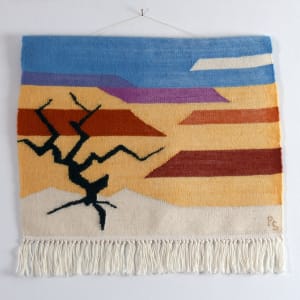 Midday Mesa (Mesa #7) by Phyllis Stevens