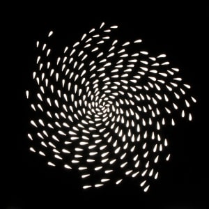 [NO TITLE] by Phyllis Anna Stevens Estate