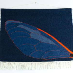 Cicada Wing by Phyllis Anna Stevens Estate