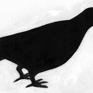 Black Bird by Mary Lou Dauray